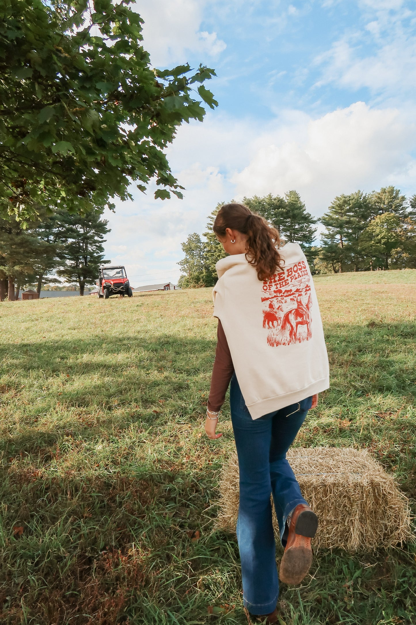 Boss of the Plains hoodie